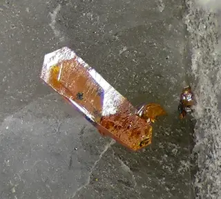 Xanthoconite-75649.jpg
