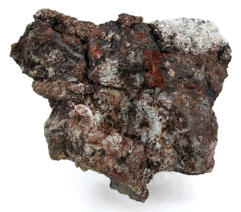 Xocolatlite-214967.jpg