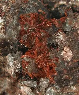 Xocolatlite-214968.jpg