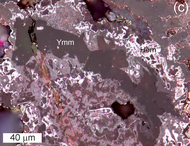 Polished slab of phosphide-bearing breccia (c).png