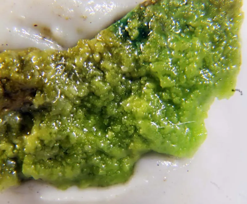 Aerugite - Bunsenite - Xanthiosite.jpg