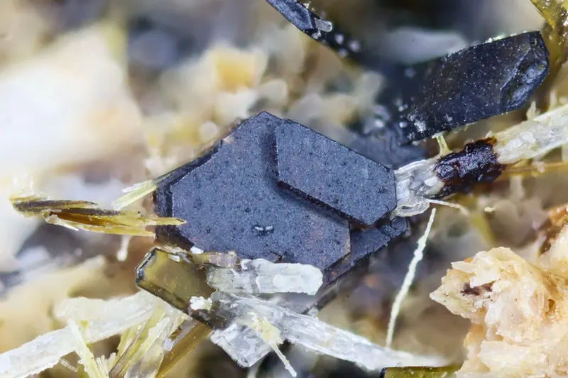 Batiferrite Graulai 0,5mm.webp