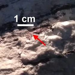 Юшкинит (розовато-сиреневые просечки).jpg