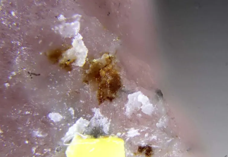 Zakharovite.jpg