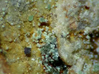 Zinclipscombite-104317.jpg