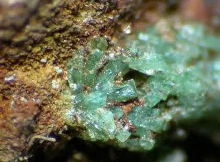 Zincolivenite-107043.jpg