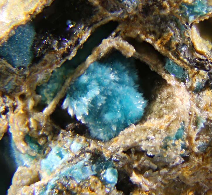 Zincrosasite