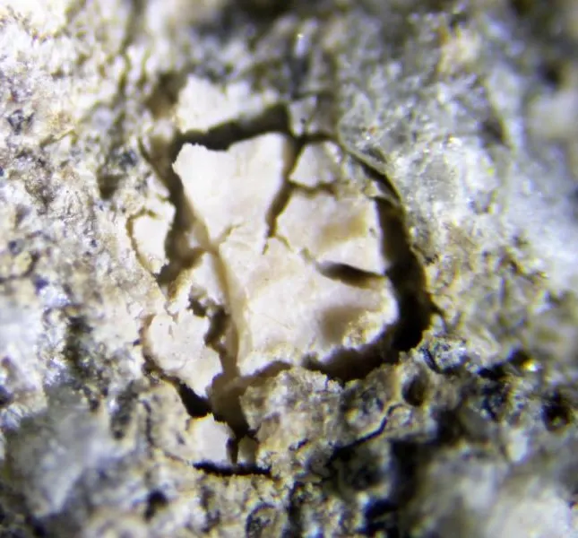 Zincsilite.jpg
