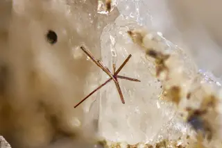 Zirkonolite3519-1.jpg