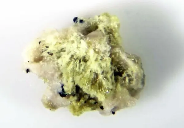 Zodacite.jpg