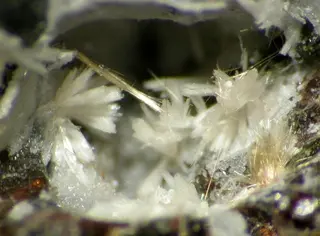 Zorite-99360.jpg