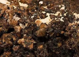 Zunyite-199878.jpg