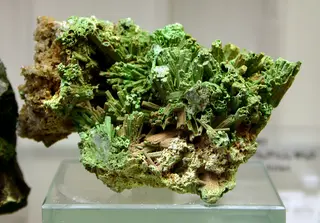 Bayldonit - Mineralogisches Museum Bonn (7292).jpg