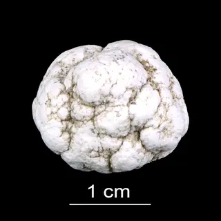 Aluminite