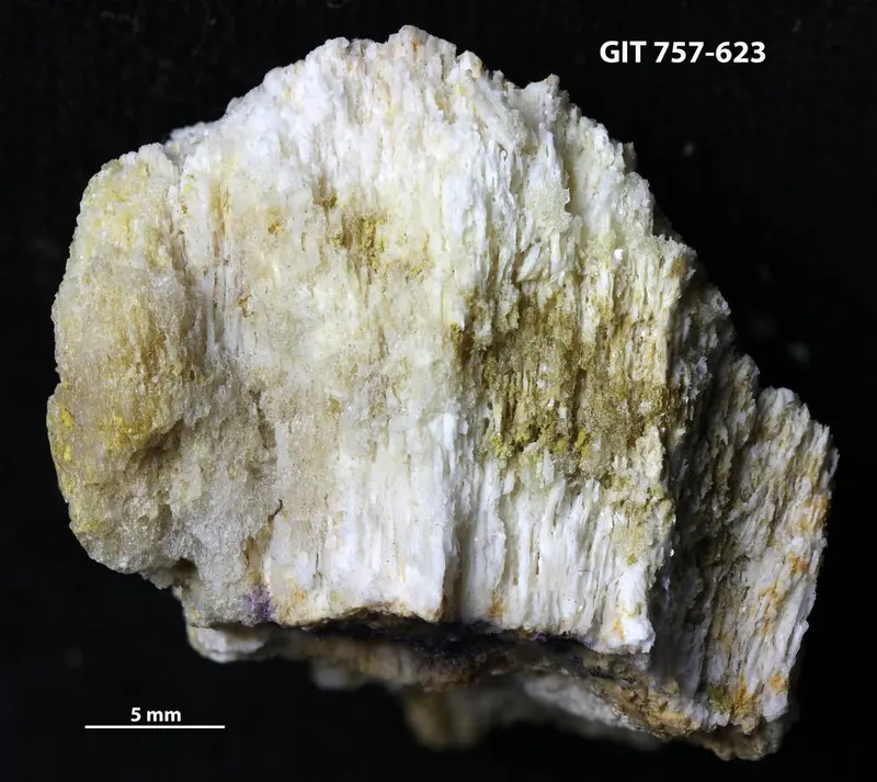 Alunogen