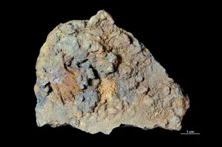 Anapaite