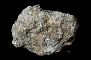 Anthophyllite