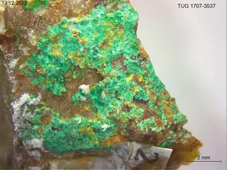 Arsenogorceixite