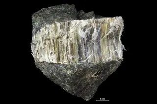 Asbestos