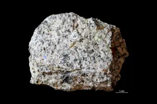 Autunite