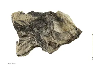 Belyankinite