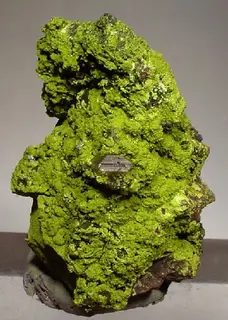 Beaverite-Cerussite-156295.jpg