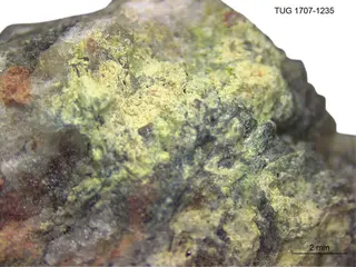 Bismite