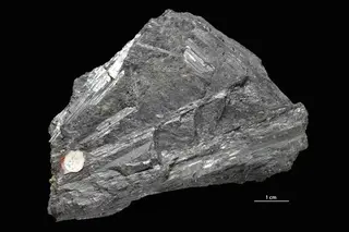 Bismutite