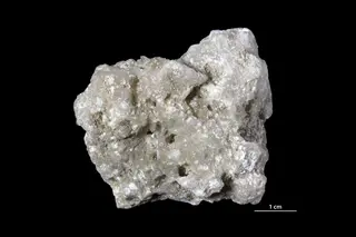 Blödite