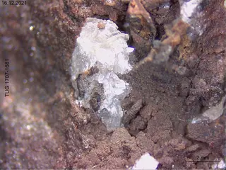 Brandtite