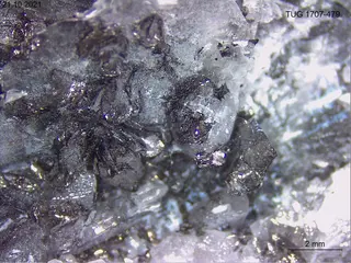 Brucite