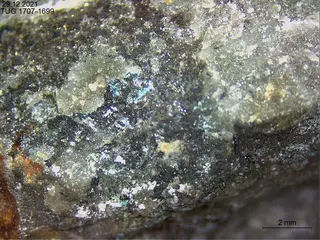 Caledonite