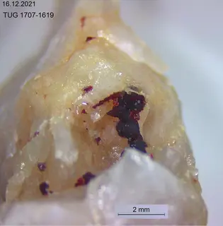 Carminite