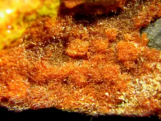 Fourmarierite-Becquerelite-Uraninite-201071.jpg