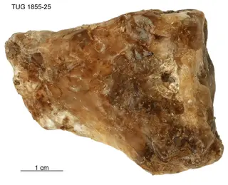 Carnallite