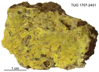 Carnotite