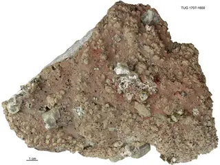Catapleiite