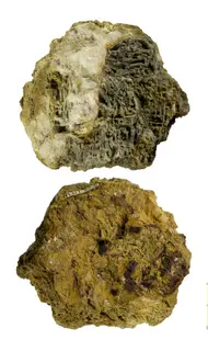 Chalcocite