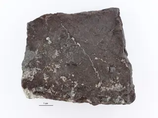 Chalcocite