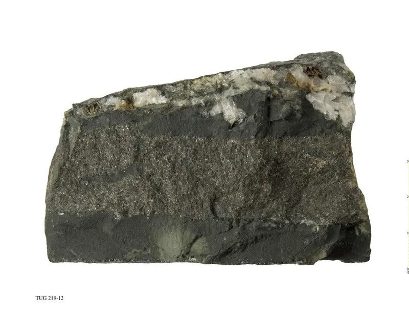 Chamosite