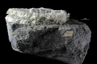 Chrysotile