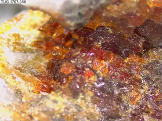Clinohumite