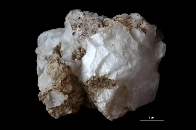 Colemanite