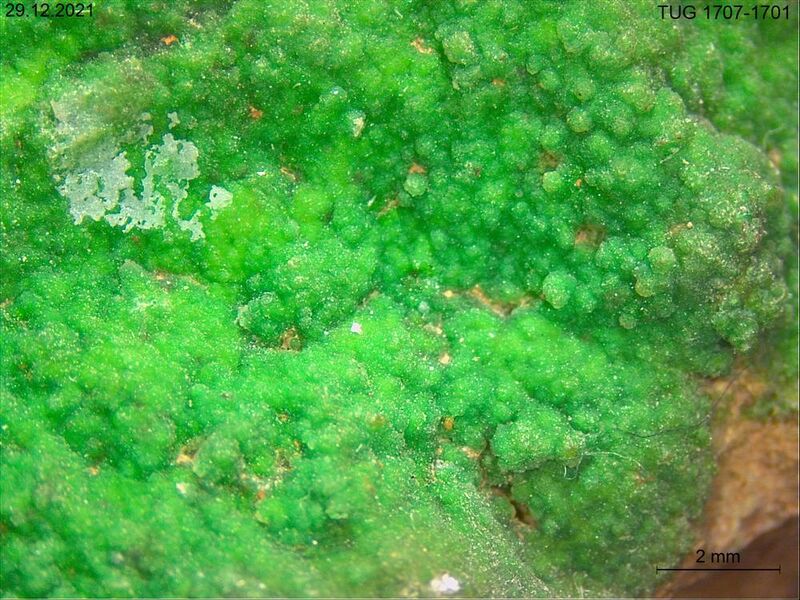 Conichalcite