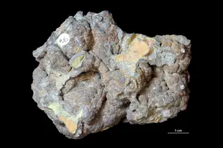 Limonite