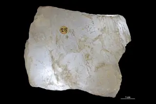 Cryolite