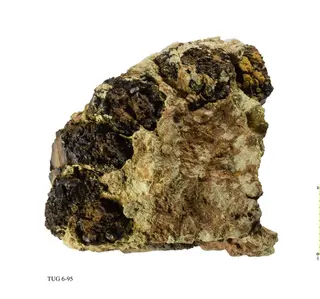 Delvauxite