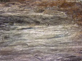 Denisovite