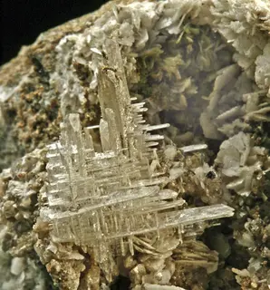Behoite-164046.jpg