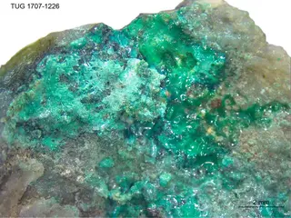 Devilline